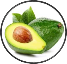 AVOCAT