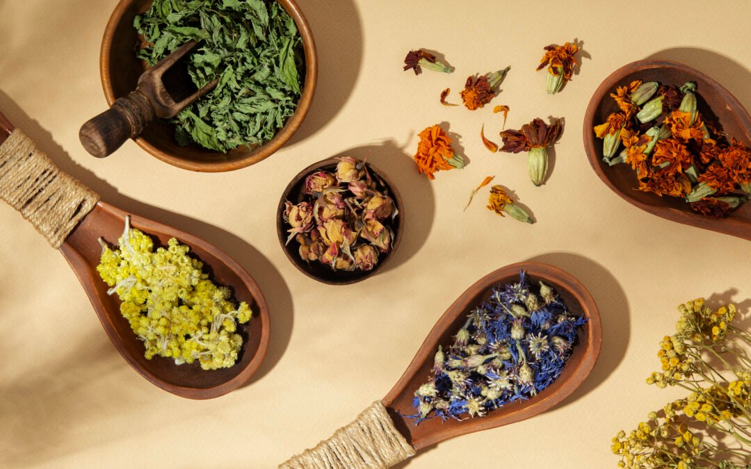 Diététique chinoise 5 éléments : Guide simple pour la digestion