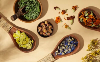 Diététique chinoise 5 éléments : Guide simple pour la digestion