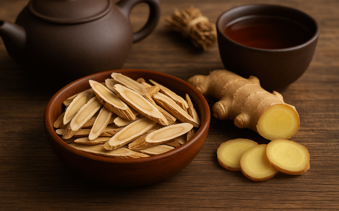 Les bienfaits de l’Astragale (Huang Qi) en médecine traditionnelle chinoise