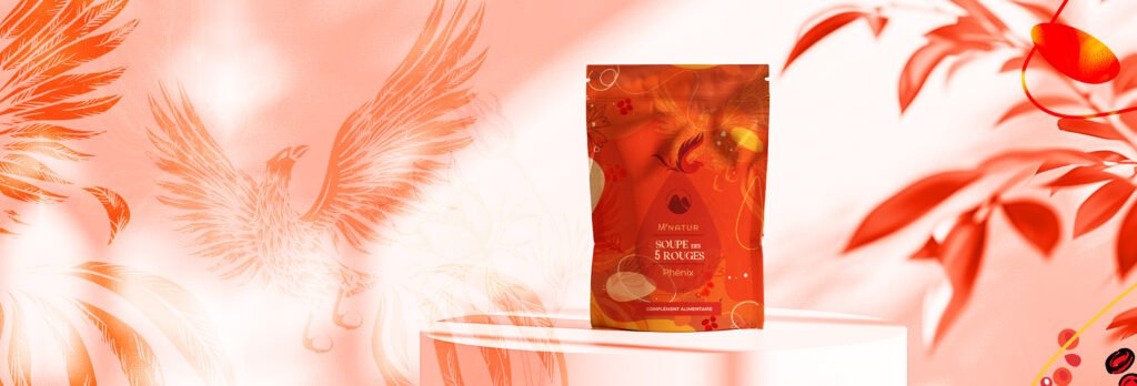 SOUPE DIETETIQUE CHINOISE PHOENIX