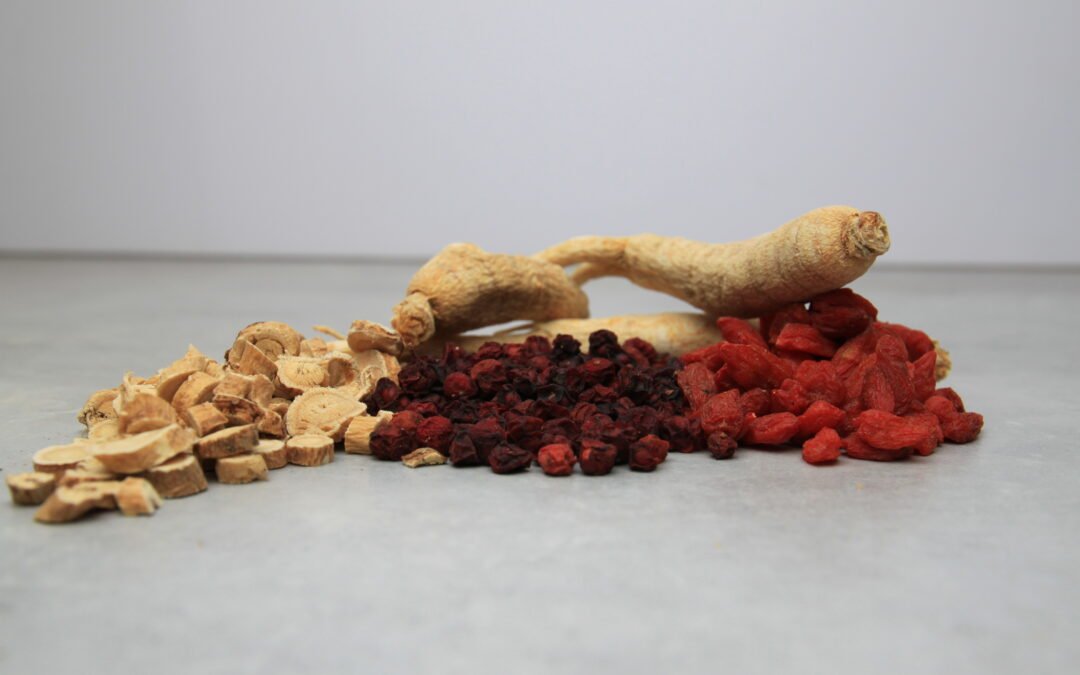 Tout savoir sur l&rsquo;Astragale : Bienfaits, Utilisation et Recette