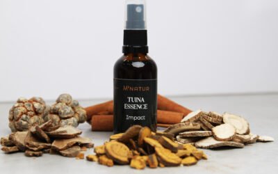 Zheng Gui Shui : 3 secrets et solutions naturelles