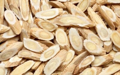Tout savoir sur l&rsquo;Astragale : Bienfaits, Utilisation et Recette