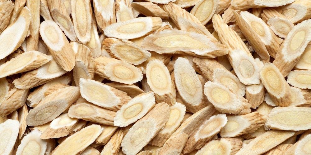 Tout savoir sur l&rsquo;Astragale : Bienfaits, Utilisation et Recette