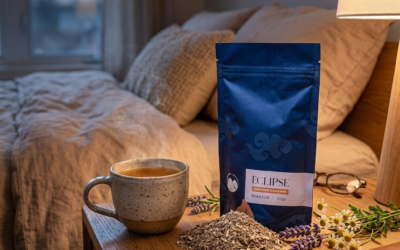 Les 4 trésors d&rsquo;Eclipse : une synergie au service de vos nuits