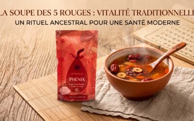 Fatigue après les règles et Vide de sang : La Cure Phenix pour renaître de vos cendres